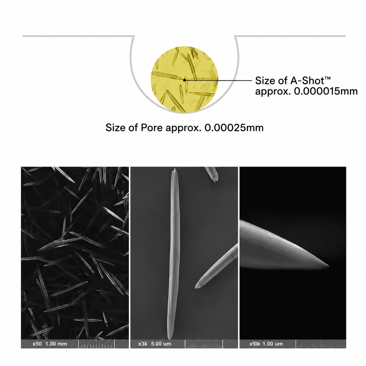 Microscope images showing the shape and relative size of Celimax A-Shot micro-particles