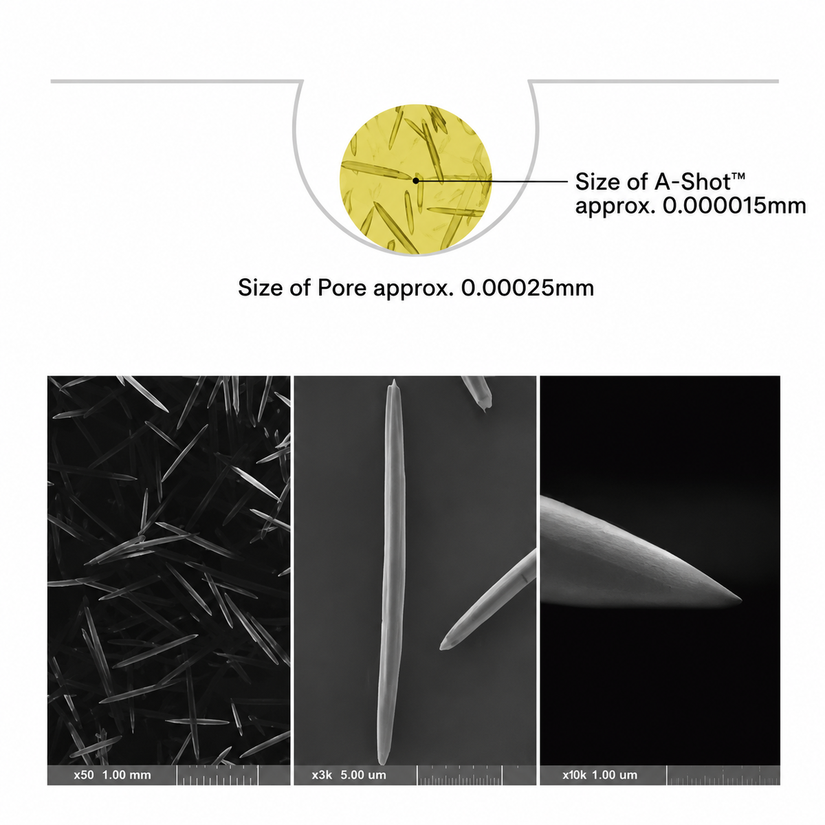 Microscope images showing the shape and relative size of Celimax A-Shot micro-particles